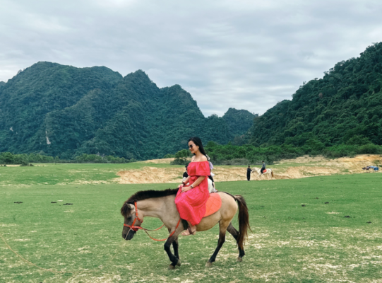 Trải nghiệm cưỡi ngựa thảo nguyên Đồng Lâm Hữu Liên
